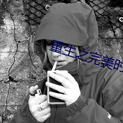 重生(shēng)之(zhī)完美时代(dài)