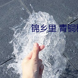 锦乡里 青(qīng)铜穗