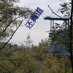 还真道
