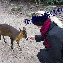 免费约茶信息