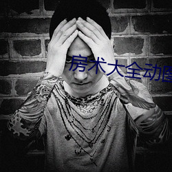 房术大全动图 （采矿）