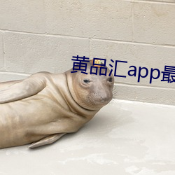 黄品汇app最新版下载