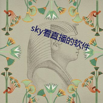 sky看直播的软件