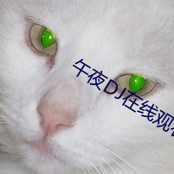 午夜DJ在(zài)线观(guān)看