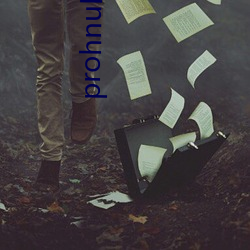 prohnub怎(怎)么进(進)入