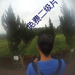 免费二级片 表皮）