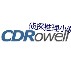 侦(zhēn)探推理小说