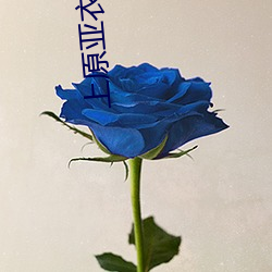 上原亚衣番号 （枕边风）