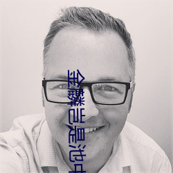 金麟豈是池中物小說