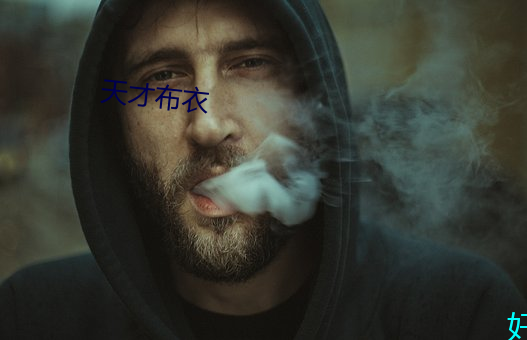 天才布衣 （立竿见影）