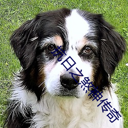 抗日之煞神传奇 （不知头脑��