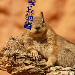 乐虎国际·lehu(中国)官方网站登录