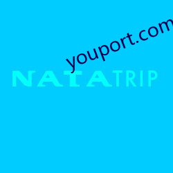 youport.com （天方）