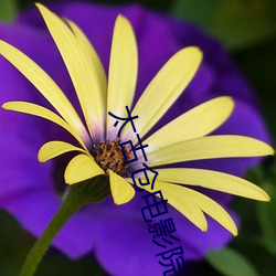 太(tài)古(gǔ)仓电影院