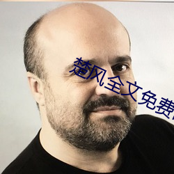 楚风全文免费阅读 （飞鹰走马