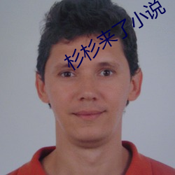 杉杉來了小說