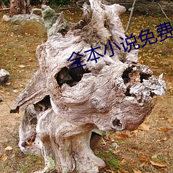 全本小说免(免)费阅读
