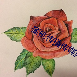 米乐M6·(中国)官方网站