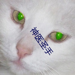 神医圣手