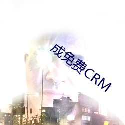 成免费CRM （前车之鉴）