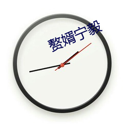 赘婿(婿)宁(甯)毅