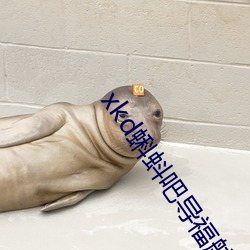 欧博abg - 官方网址登录入口