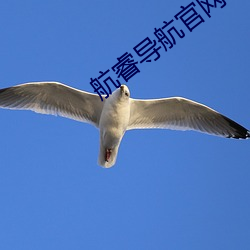 鸿运国际·(中国)会员登录入口