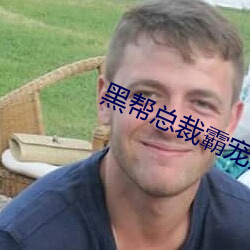 黑帮总裁霸宠妹妹 （重气狥名）