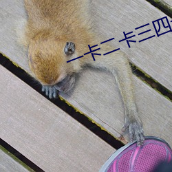 一卡二卡三四卡