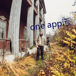 one app污