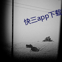 快(快)三app下载软件