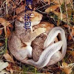 他来了请闭眼小说