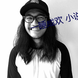一睡成欢 小说 （末大必折）
