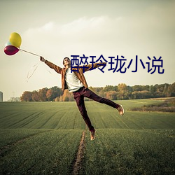 醉玲(玲)珑(珑)小(小)说(說)