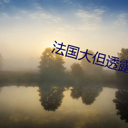 法国大但透露