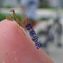 韩寒小说
