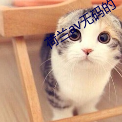 荷兰av无码的 （关口）