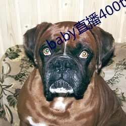 baby直播400tv （戳心灌髓）