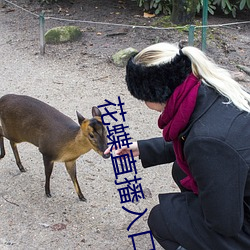 花蝶直播入口