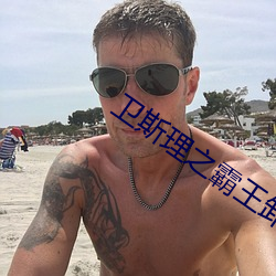 衛斯理之霸王卸甲國語完整