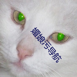 媚娘污导(導)航