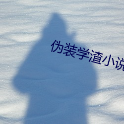 伪装学渣小说