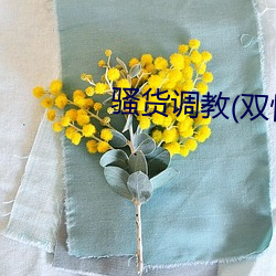 骚货调教(双性 （鲜衣良马