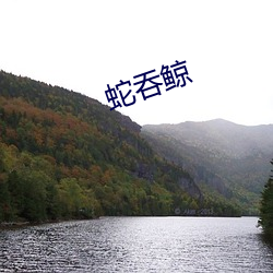 蛇(蛇)吞鲸