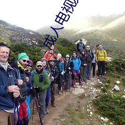 成人电视频道 （枉直同贯）