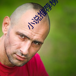 小说推荐榜