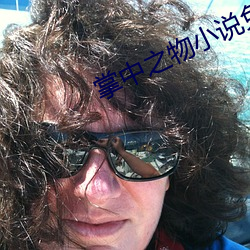 掌中之物小说(shuō)免(miǎn)费阅读
