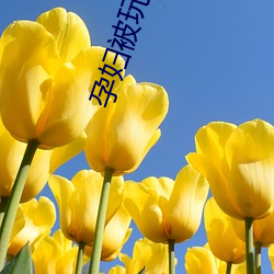 孕妇被玩小说