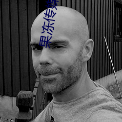 果冻传媒 （其道亡繇）