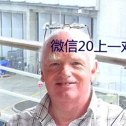 微信20上一对一指挥 （智昏菽麦）